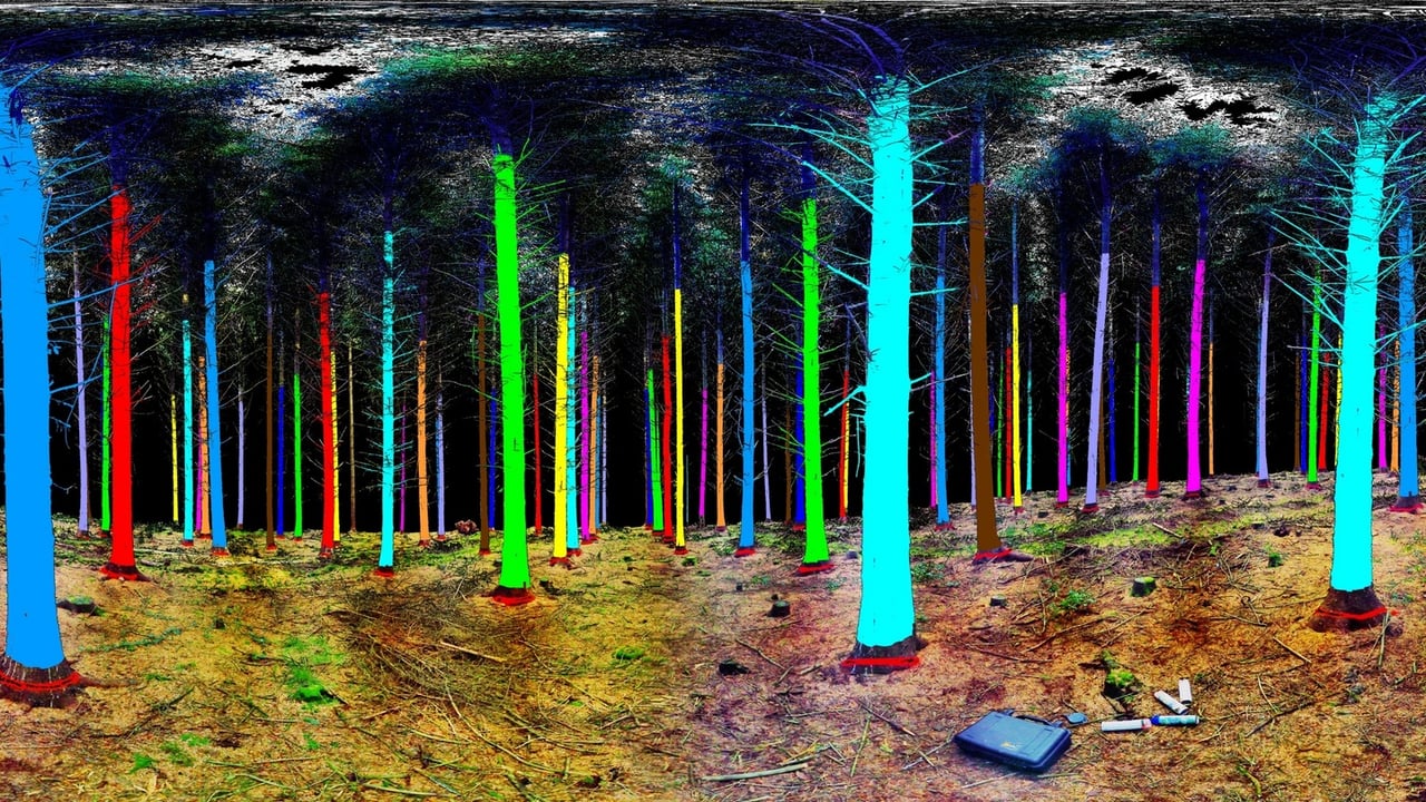 Treemetrics Laser Trees - highlighting its LIDAR (light detection and ranging) system
