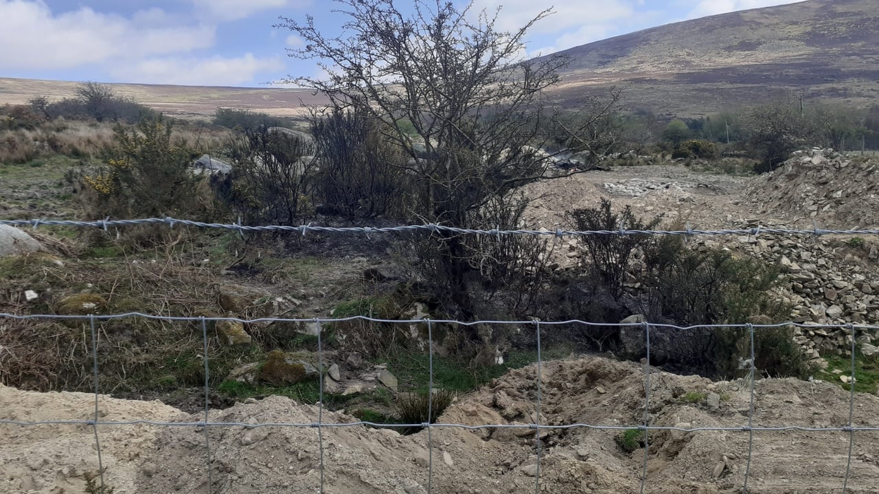Wicklow landowners fined €1,000 for burning vegetation