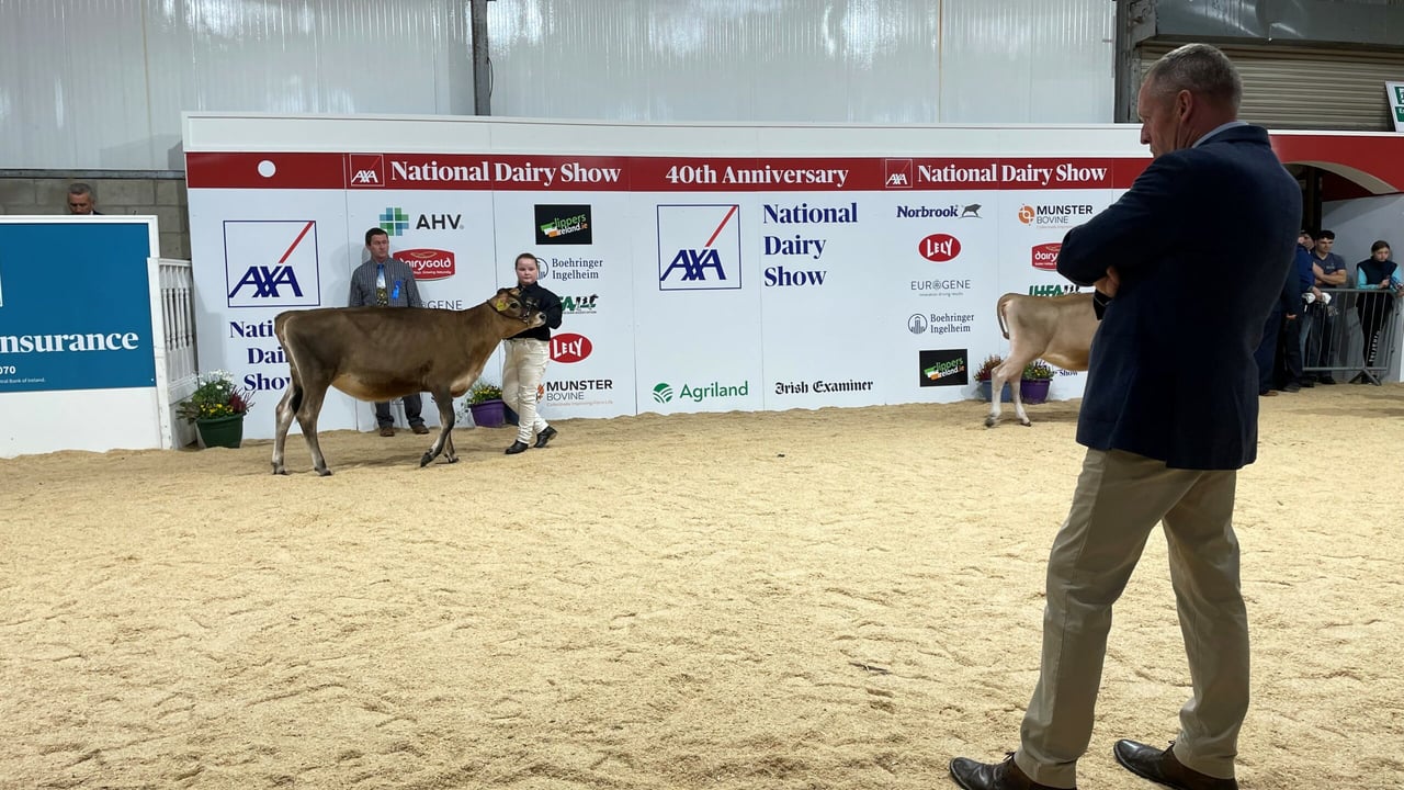 National Dairy Show: Results from day one