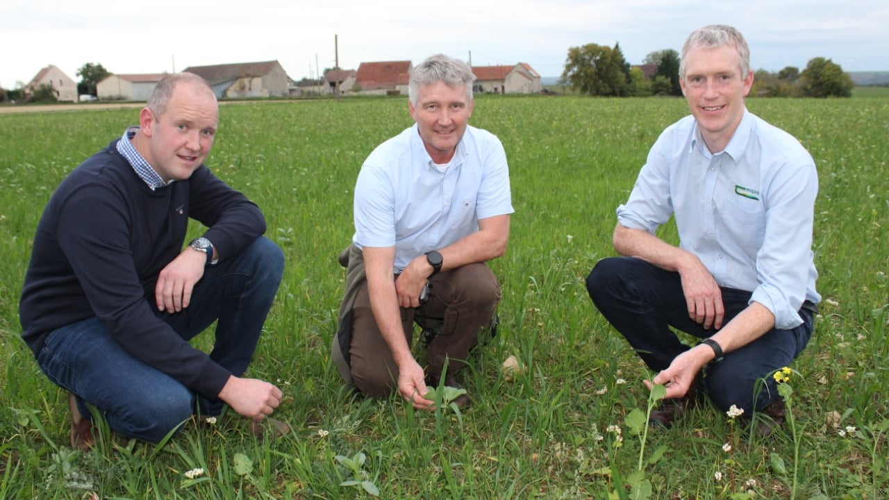 
Assessing the cover crops grown this year by the Bardet family, who farm near the French city of Auxerre. L-R: Neill Patterson, Co. Down; Karl Cope, Co. Carlow and Damien Fewer, Kildalton College
