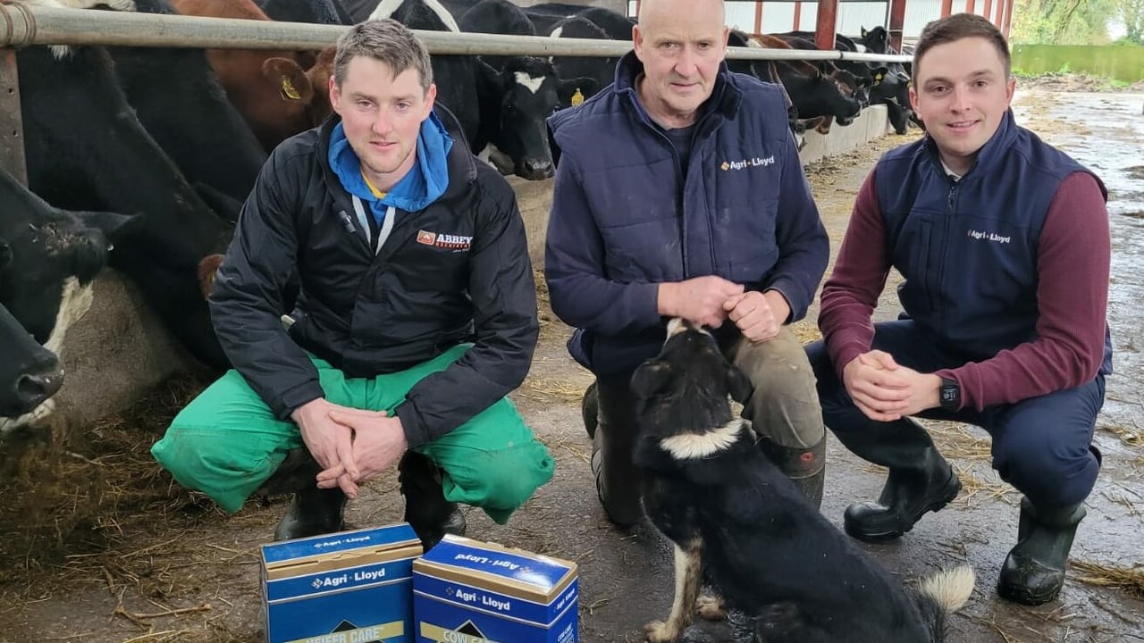 Dairy farmers, John and Tom Barron, with Agri-Lloyd's National Product Manager, John Molloy