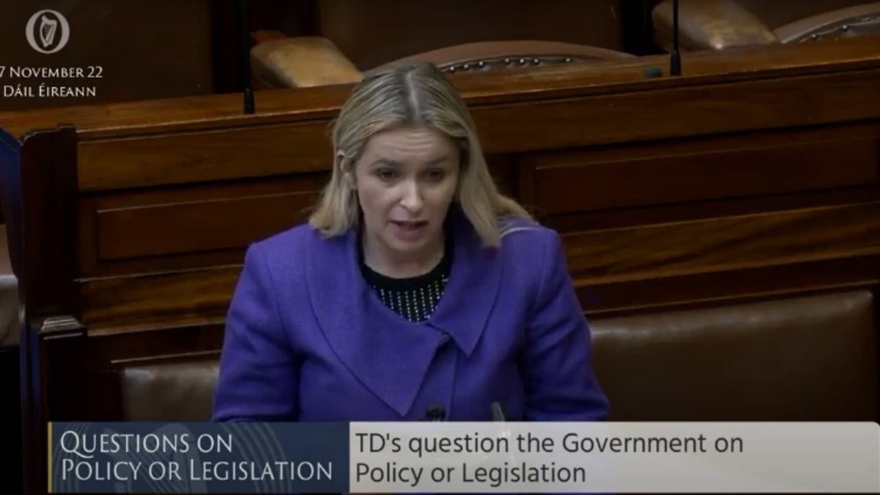 Deputy Carol Nolan speaking in the Dáil this week