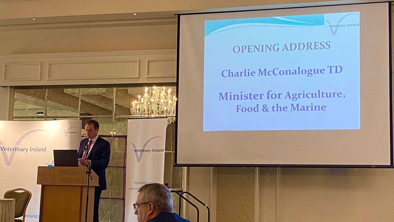 McConalogue calls on vets to develop AMR plans with farmers