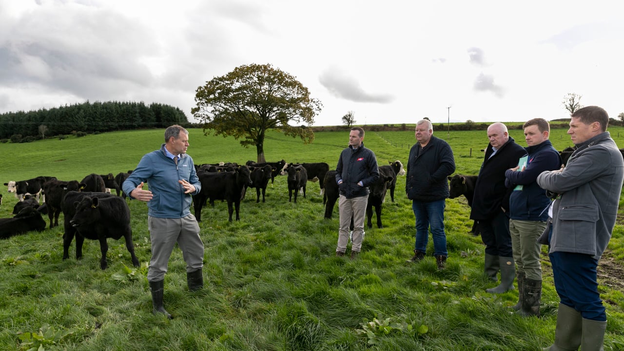 ABP Demo Farm hosts info event for ag committee