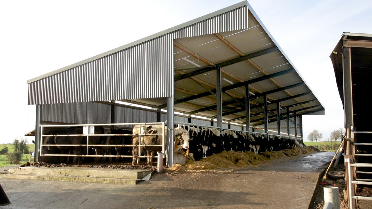 Winter Beef series: Targets for winter weight gain in cattle