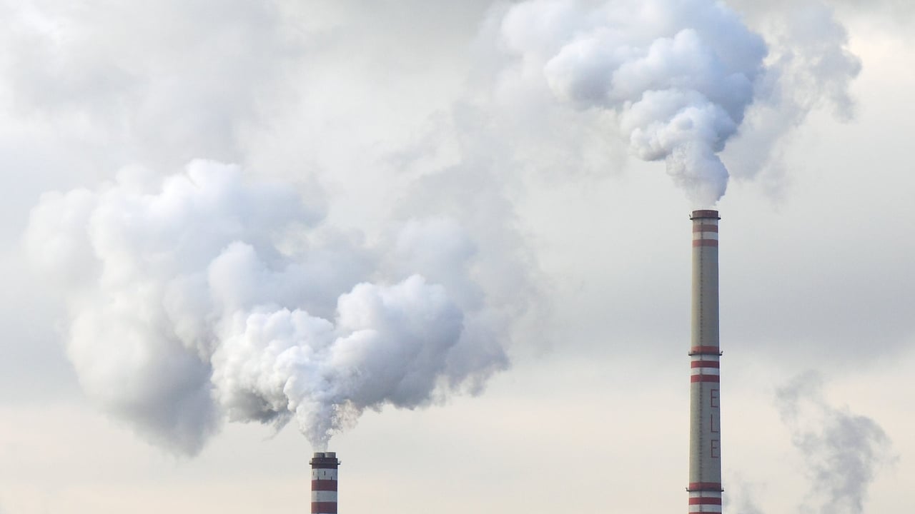 Enterprise Ireland approves over €55 million for decarbonisation