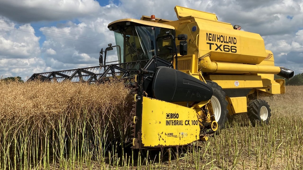 Winter oilseed rape: Optimising crop establishment