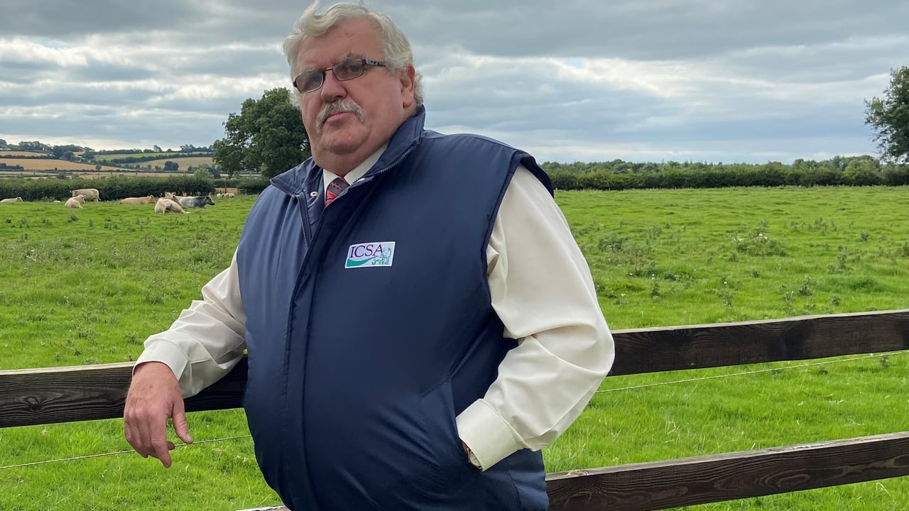 Dermot Kelleher, who stood as an Independent Ireland candidate in the local elections