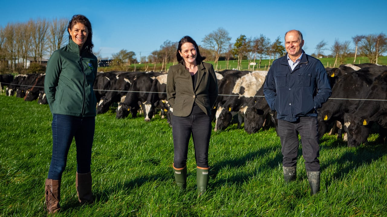 Survey: 92% of consumers in Ireland include dairy in their diet