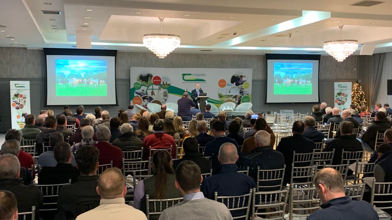 Teagasc conference: Boosting beef farm profits in an eco-friendly way