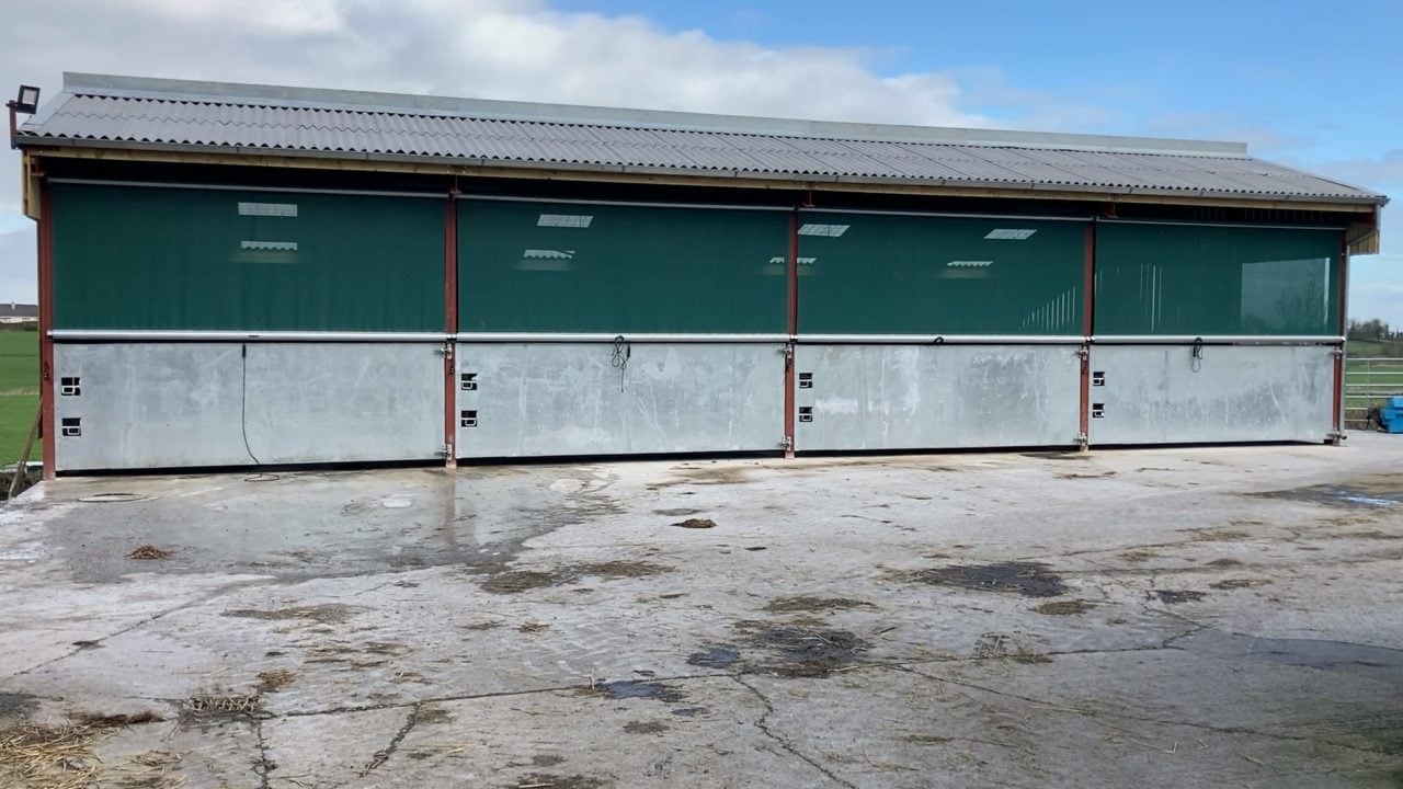 Back In Focus: Mono-pitched calf shed for 80 calves in Co. Fermanagh
