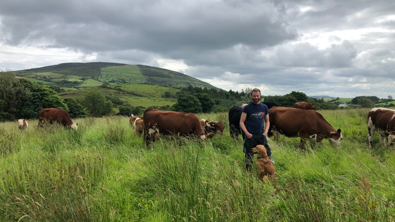 Clive Bright with his dog and herd of suckler cows in Co. Sligo