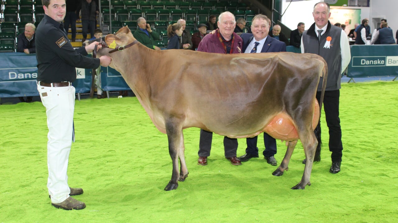 Potterswalls Chrome Glamour - the RUAS 2022 Interbreed Champion with winning connections