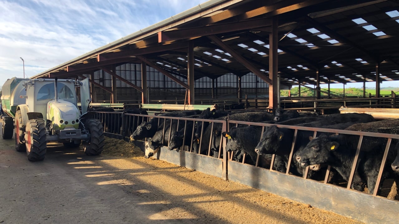 Teagasc conference: Indoor systems to get methane feed additive by 2025