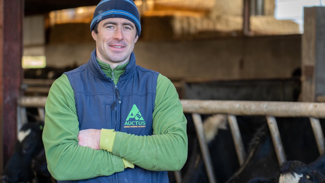 Cork farmer James Murphy vaccinates for  animal welfare and labour reasons