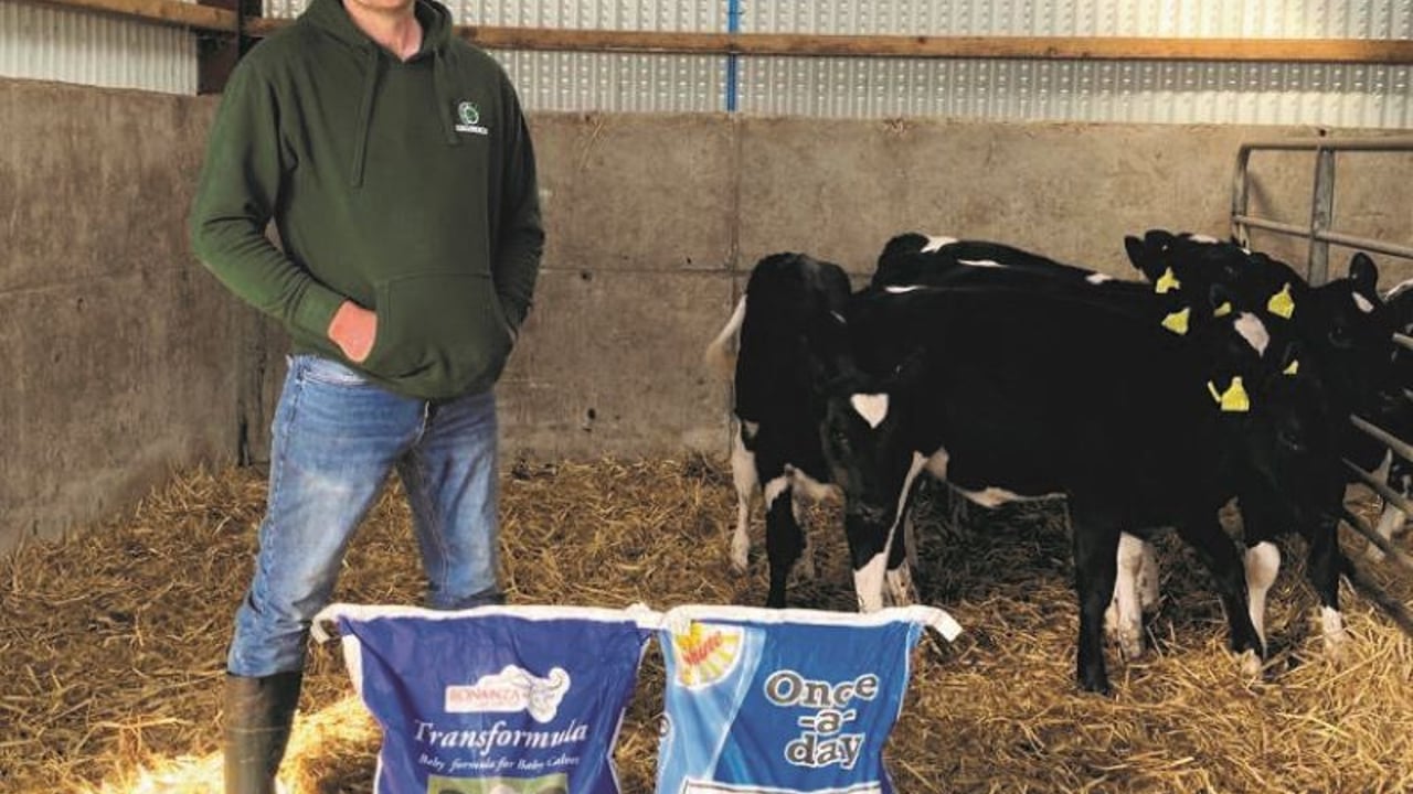Managing scour on Randalstown dairy farm