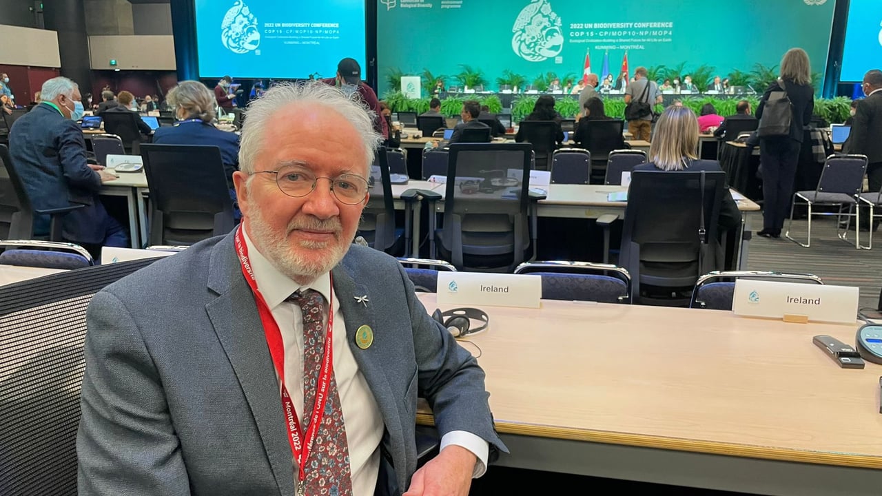 COP15: Ireland supports  biodiversity framework - Noonan