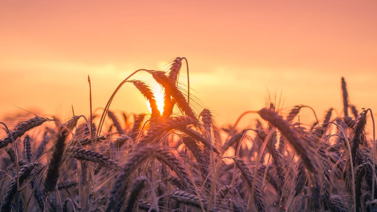 Ag-tech and sustainability trends forecast to accelerate in 2023