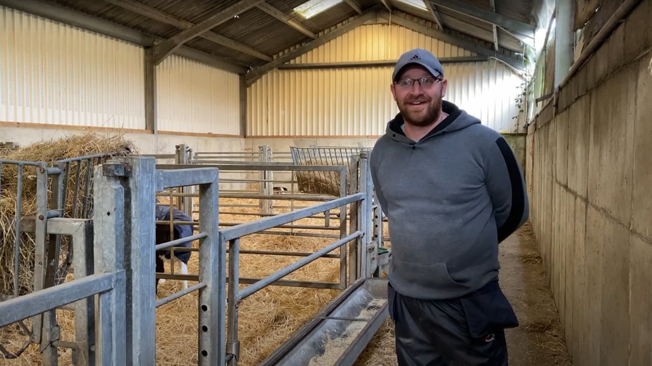 Wexford farm improves calf health with Precision Microbes