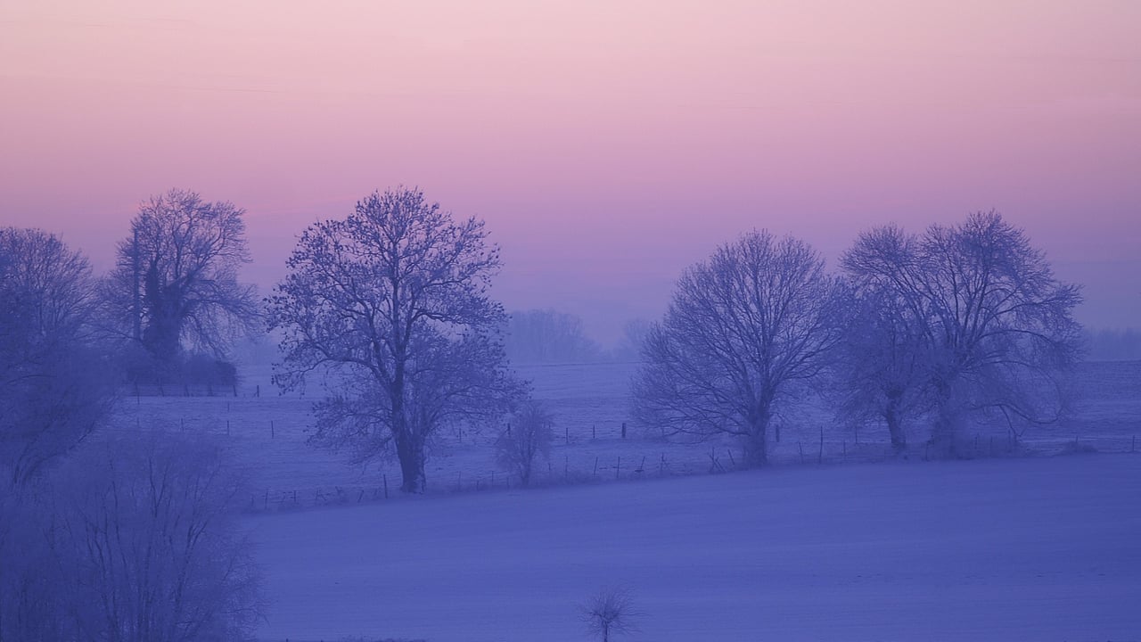 Dairy advice: Preparing the milking parlour for freezing temperatures