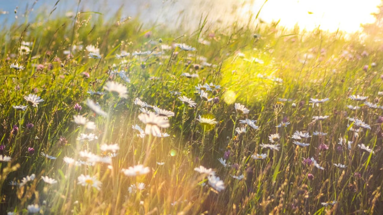 €27m for community projects to scale up local climate action