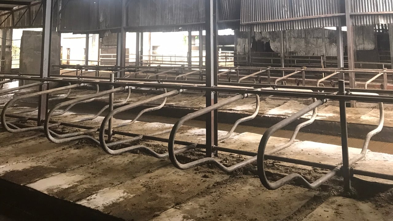 The Metcalfes cubicle house which was full of cows until last week