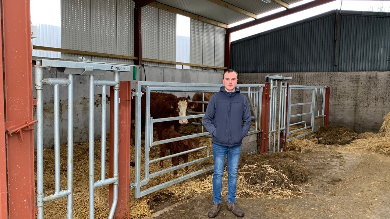 Beef focus: Young Monaghan farmer's model suckler setup
