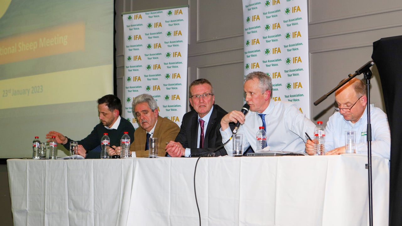 Quality assurance bonuses a talking point at IFA sheep meeting