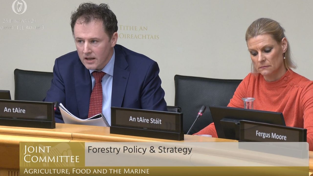 Coillte wants to invest €10m in new forestry fund