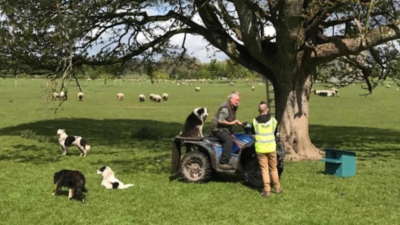Sheep farmer, Nigel Stoddart, Portumna, Co. Galway with John Carrig of the Barn Owl Project