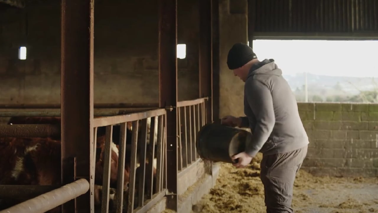 Meeting on new National Feed Database to be held in coming weeks