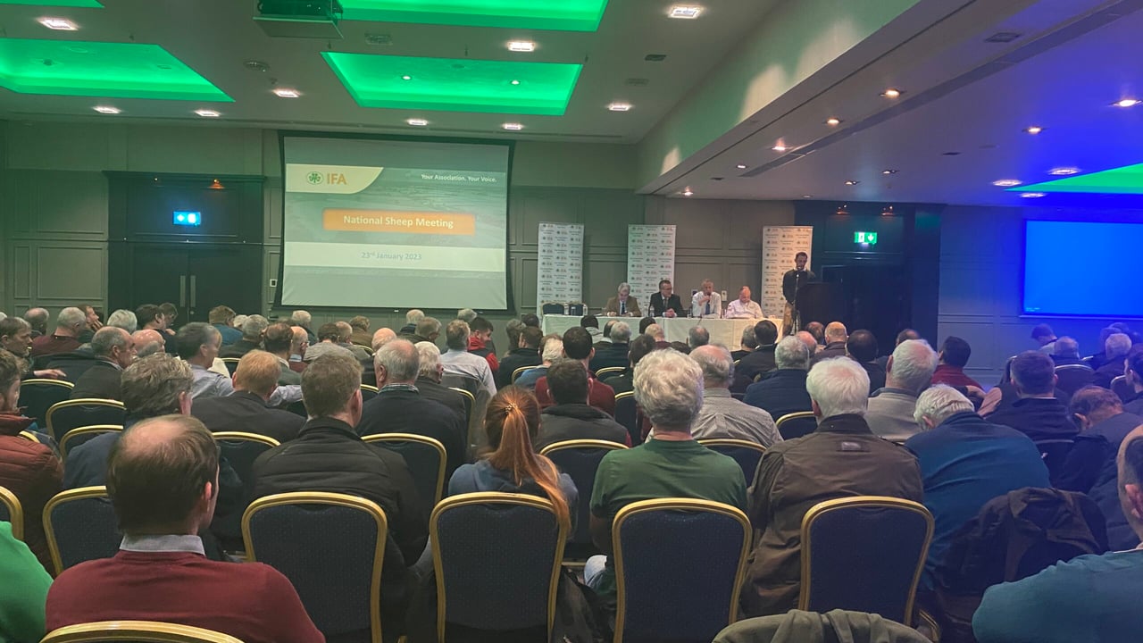IFA National Sheep Meeting at the Radisson Blu Hotel in Athlone on Monday, January 23
