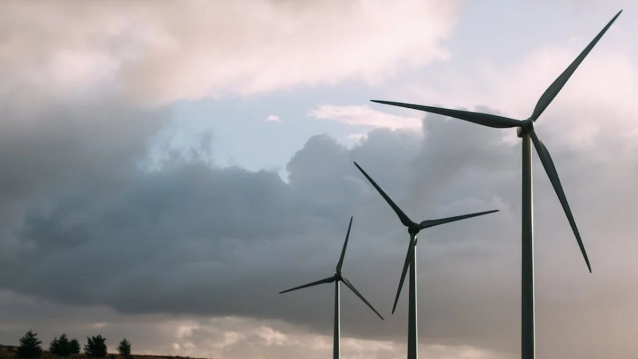 An Bord Pleanála approves wind farm despite inspector's report
