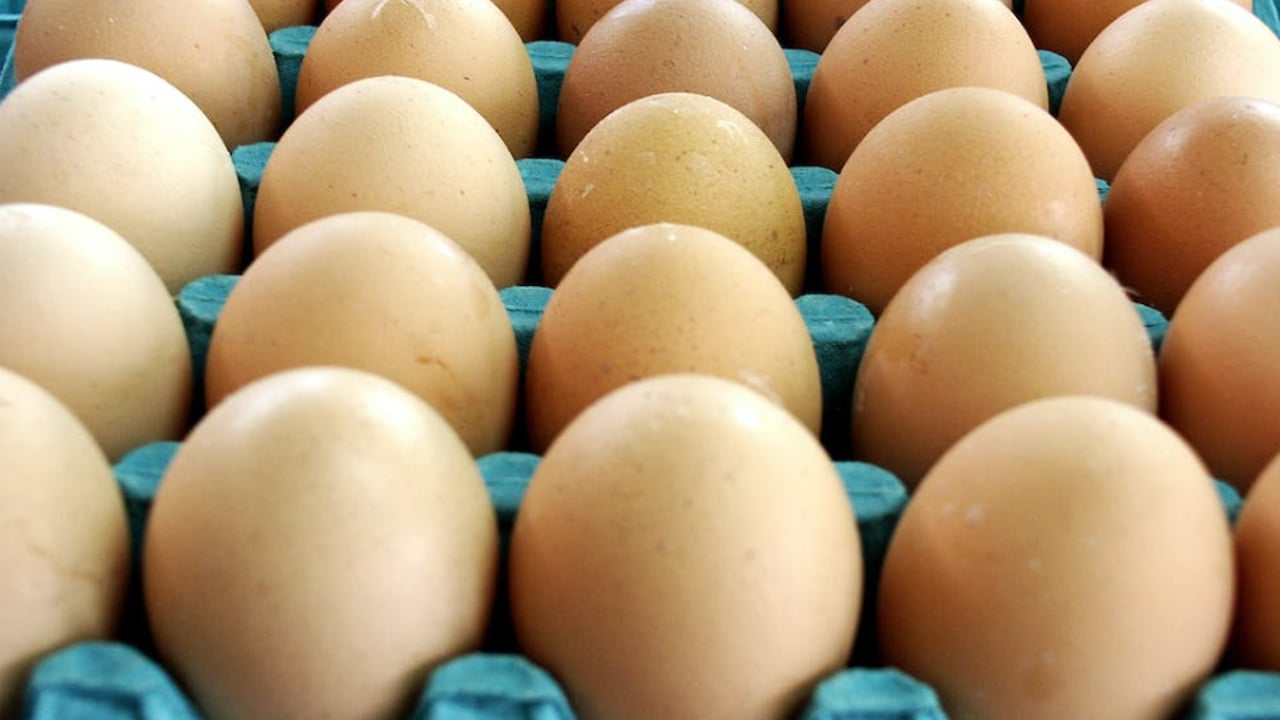 Global egg prices expected to remain high in 2023