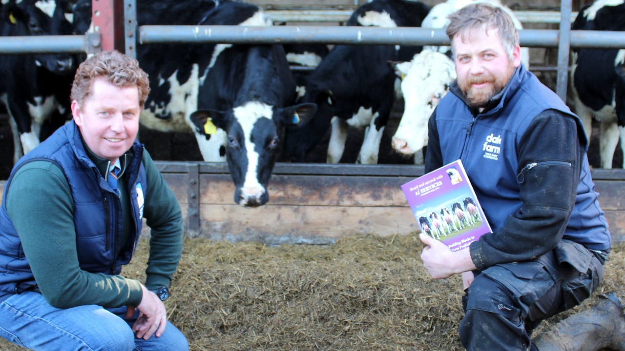 Derry farmer to travel to Denmark for study trip on dairy