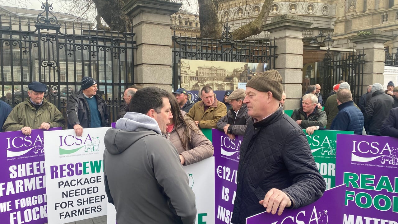 Protesters outside the Dáil today demanding a support package for the sheep sector