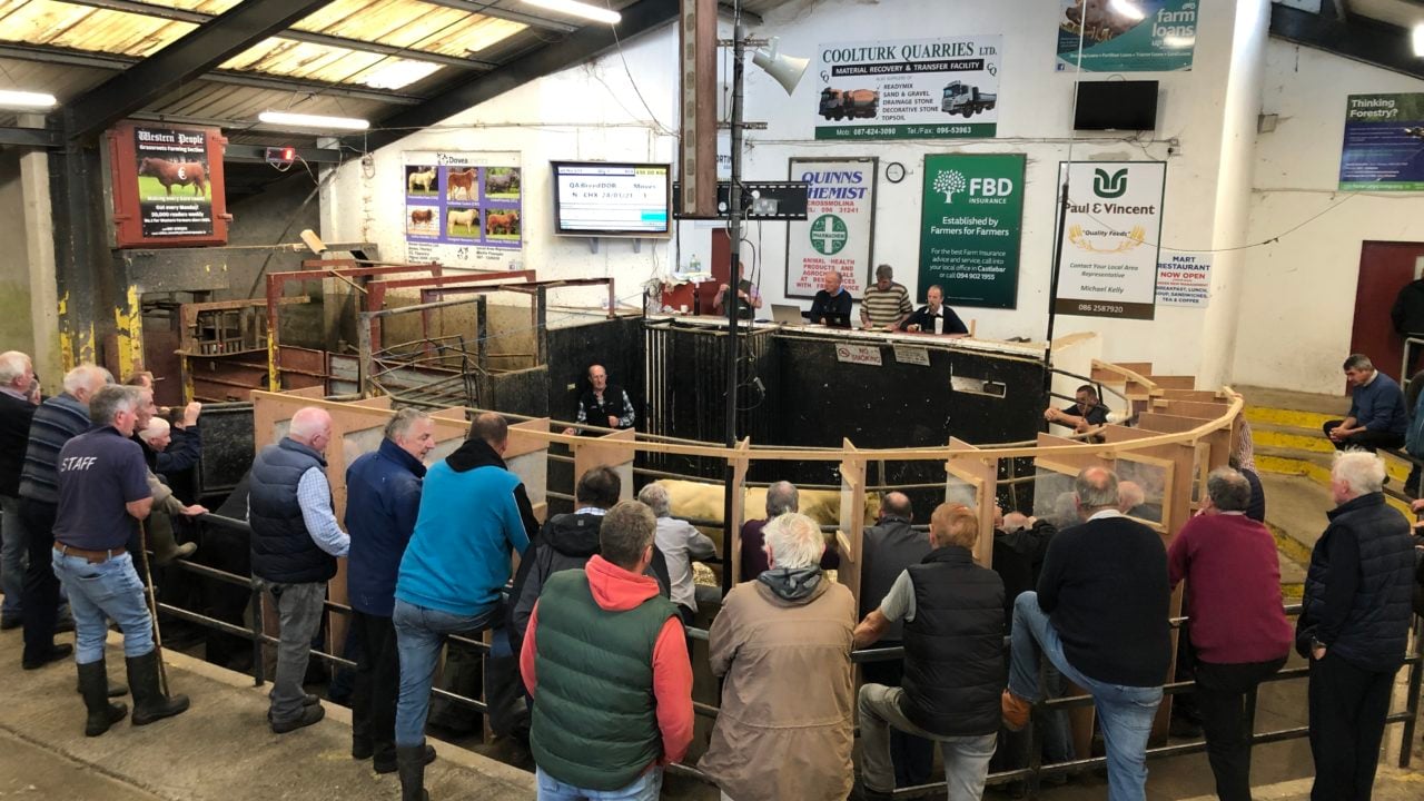 Ballina Mart