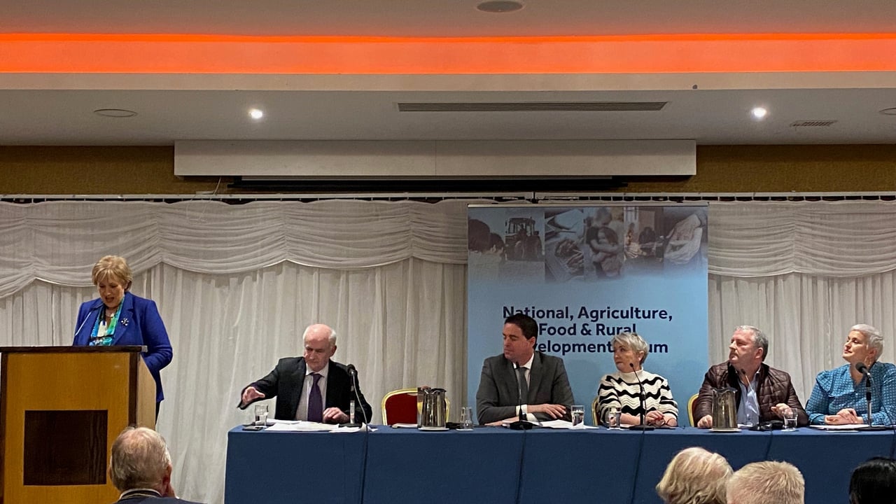 Minister for Rural and Community Development, Heather Humphreys speaking at a regional Fine Gael conference on agriculture in Tuam, Co. Galway