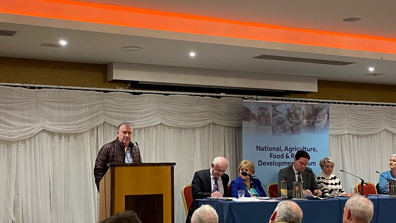 Aurivo GM: Breeding ewe and sucklers 'backbone of rural Ireland'