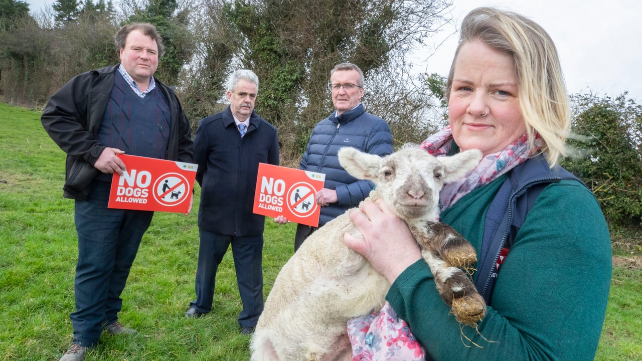IFA Offaly Sheep rep Marita Phelan with Enda Bracken alongside IFA Sheep Chair Kevin Comiskey and IFA President Tim Cullinan
Image: Finbarr O’Rourke