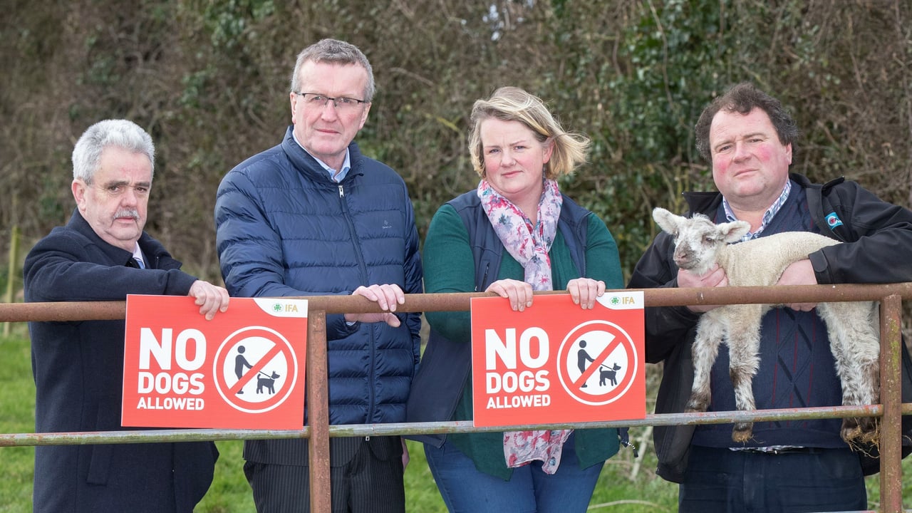 New dog control regulations need proper enforcement - Comiskey