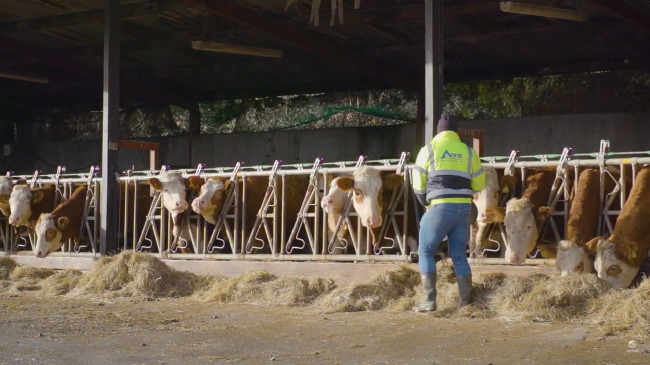 No more chemical fertiliser costs for Limerick beef farm