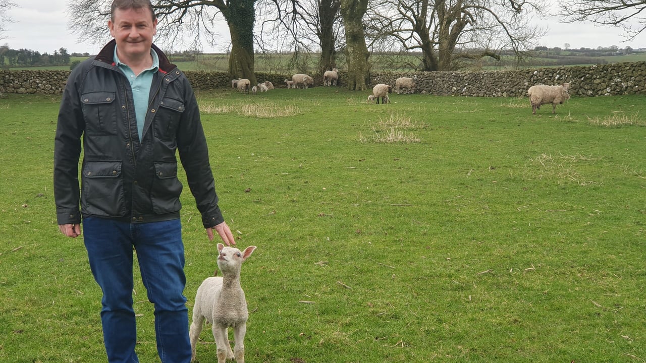 Michael Burke of Woolow on his farm at Dunblaney, Dunmore, Co. Galway