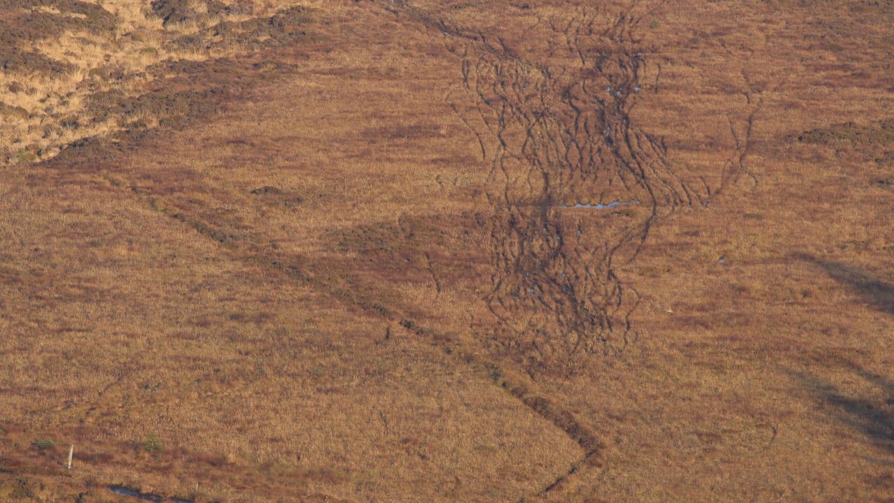 2 men convicted for scrambler bike use in Wicklow SAC