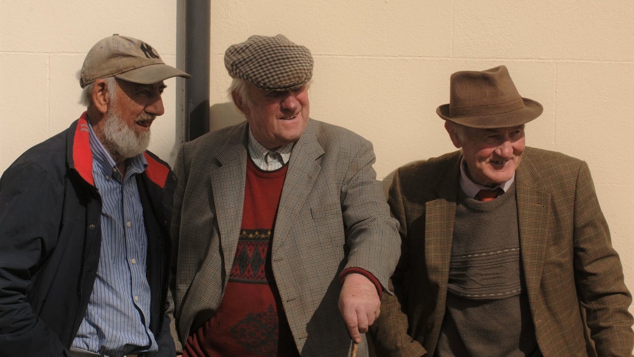 Pilot project at Mountbellew Mart to promote social inclusion
