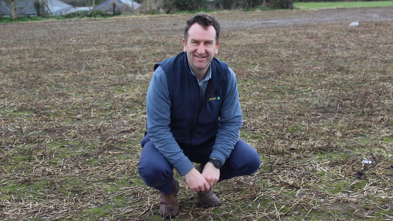 Leighlinbridge-based agronomist Eoin Jordan in a field destined for a crop of forage maize - as soon as ground conditions permit