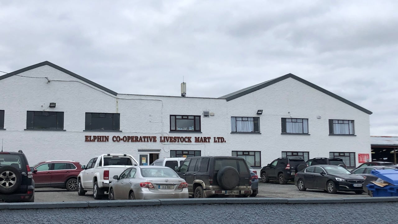 Elphin Mart