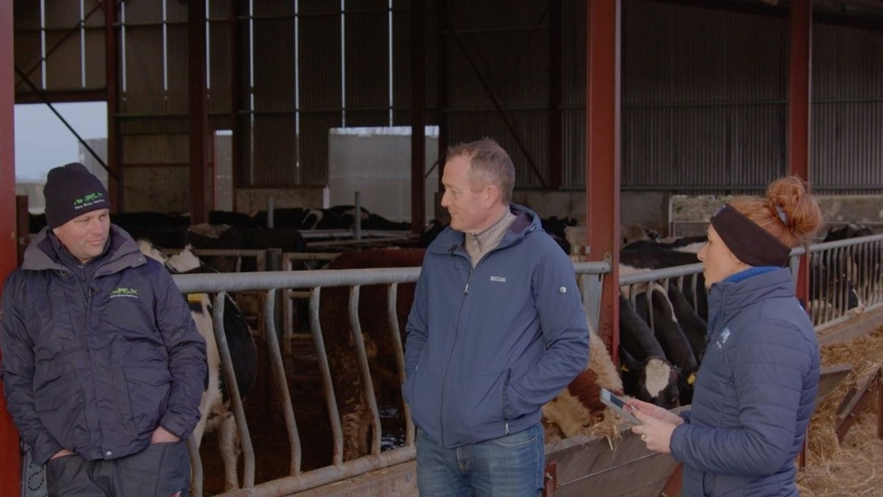 March Animal Health Series: Vaccination, nutrition and heat detection