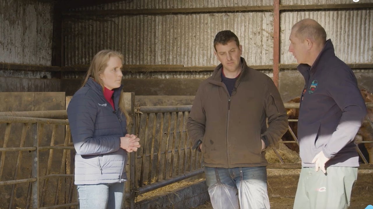 March Animal Health Series: Preventing and controlling coccidiosis