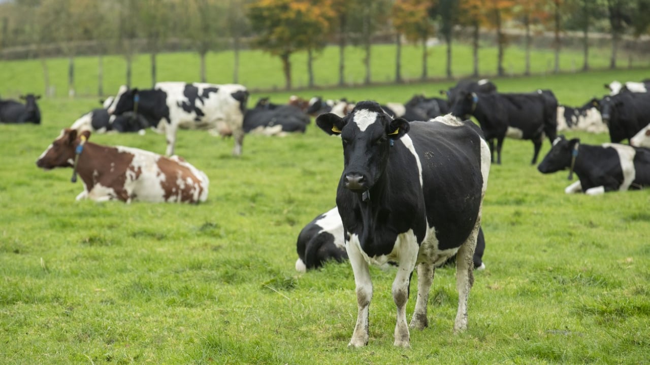 March Animal Health Series kicks off tonight